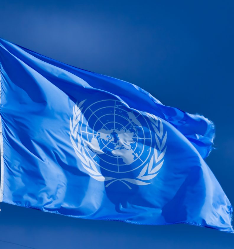 Förenta Nationernas flagga