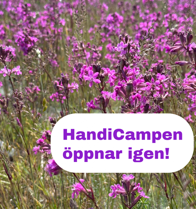 öppet igen