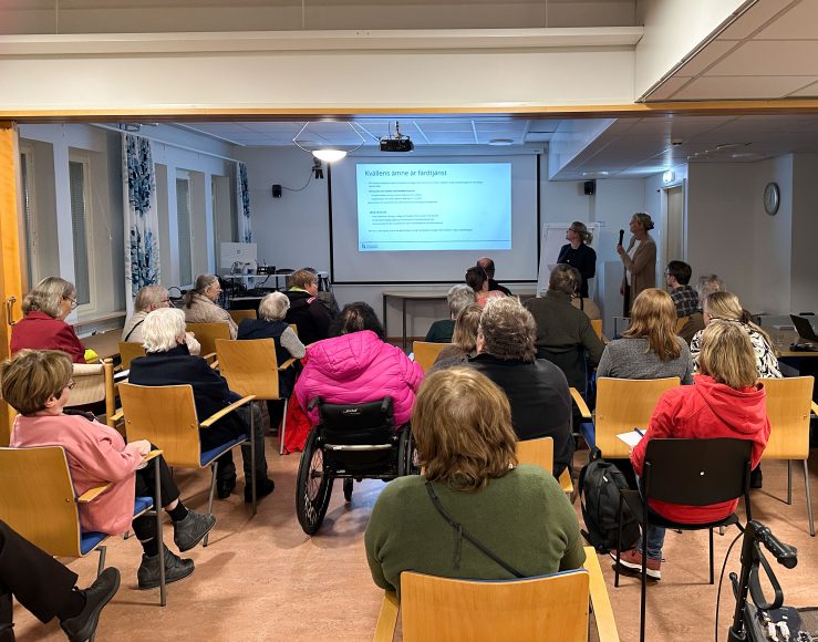 Foto visar publikpå stolar bakifrån