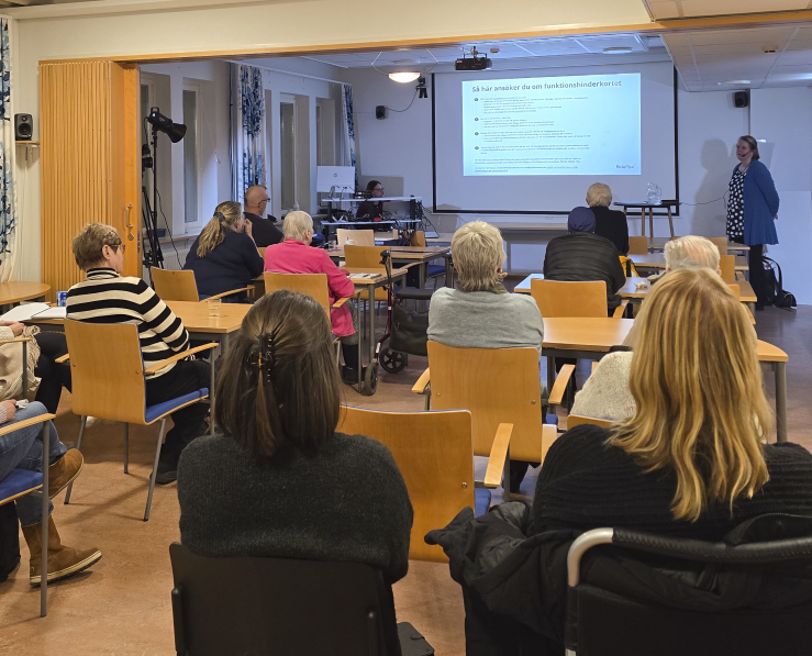 Foto visar publik bakifrån, längst fram en föreläsare vid skärm