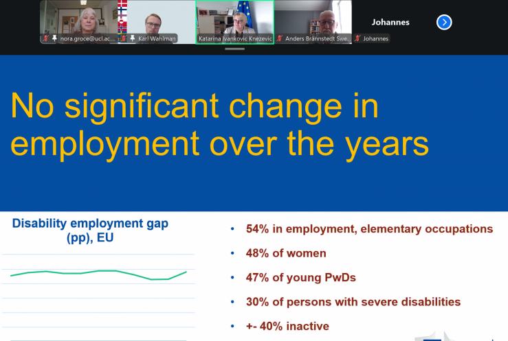 Skärmbild av powerpoint och små bilder av deltagare på digitalt möte