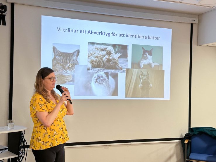Foto på en kvinna i gul tröja bredvid projekterade bilder av katter